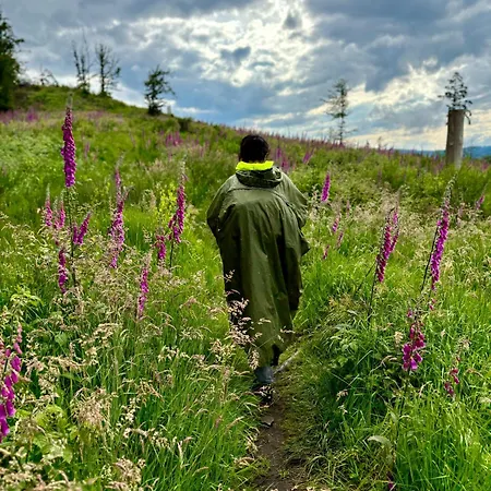 Apartment Traumwohnung Mit Sauna, Whirlpool&wunderschöner Aussicht