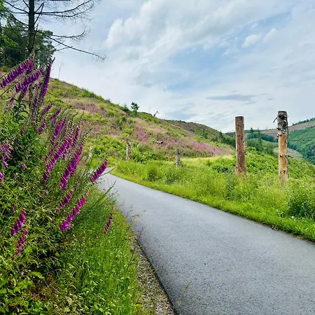 Apartment Traumwohnung Mit Sauna, Whirlpool&wunderschöner Aussicht *