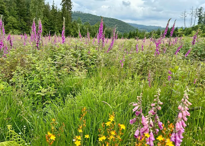 Traumwohnung Mit Sauna, Whirlpool & Wunderschoener Aussicht Plettenberg